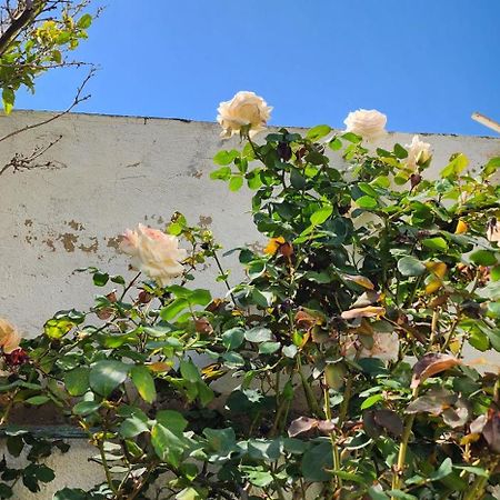 Duplex Bien Equipe Securise Avec Jardin Et Veranda La Marsa Luaran gambar