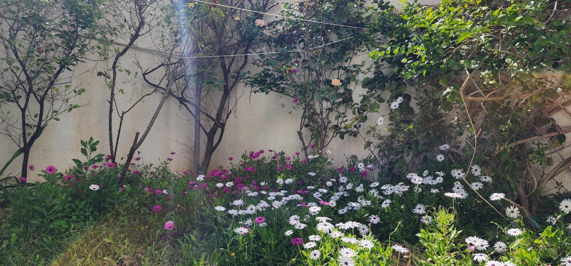 Duplex Bien Equipe Securise Avec Jardin Et Veranda La Marsa Luaran gambar