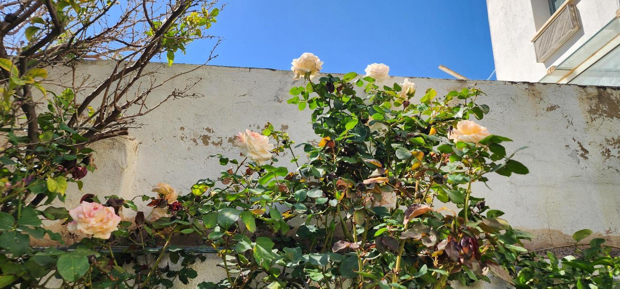 Duplex Bien Equipe Securise Avec Jardin Et Veranda La Marsa Luaran gambar