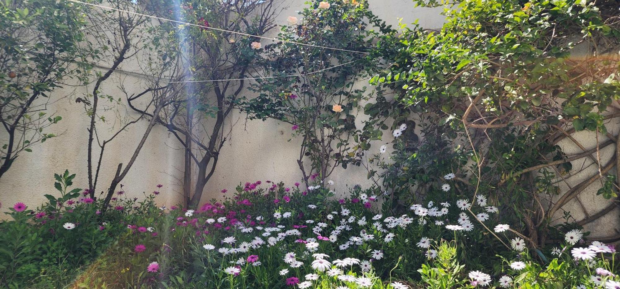 Duplex Bien Equipe Securise Avec Jardin Et Veranda La Marsa Luaran gambar