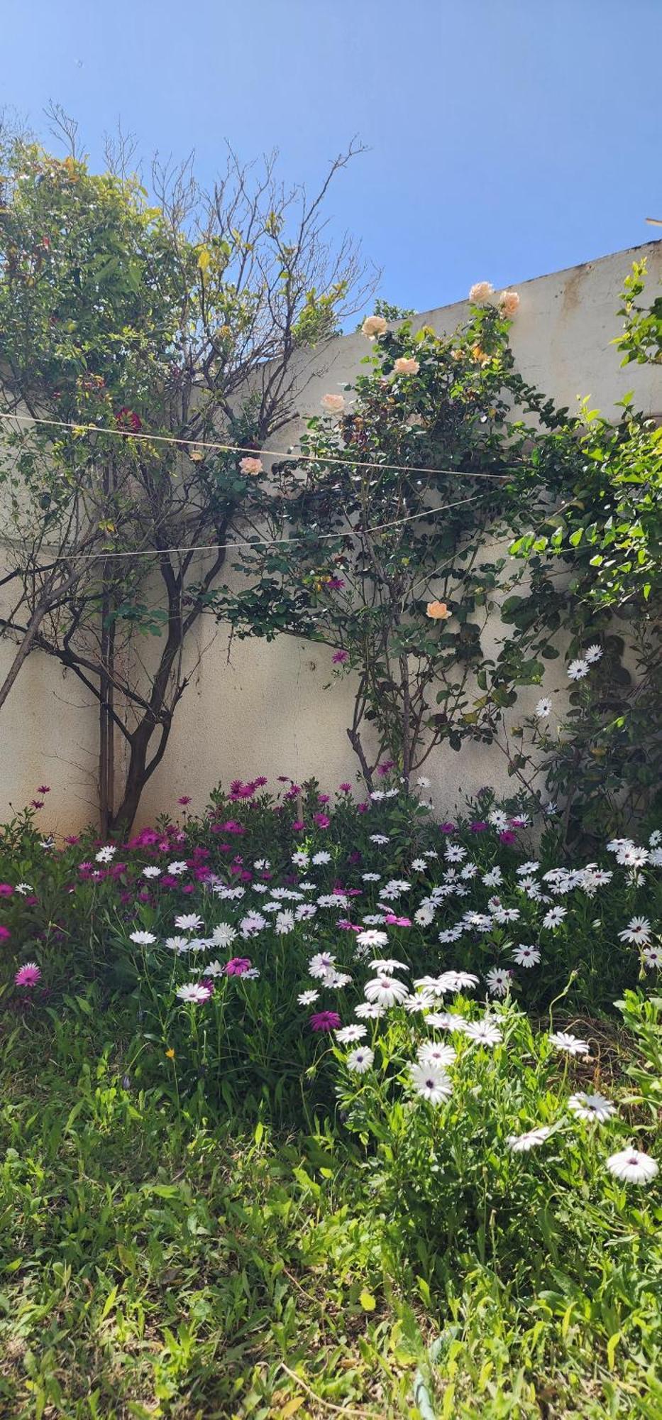 Duplex Bien Equipe Securise Avec Jardin Et Veranda La Marsa Luaran gambar